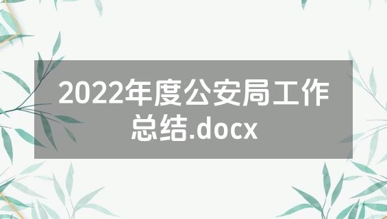 2022年度公安局工作总结.docx
