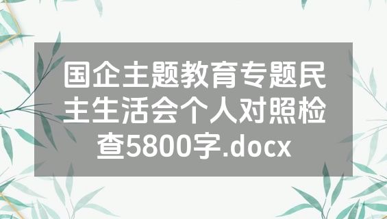 国企主题教育专题民主生活会个人对照检查5800字.docx
