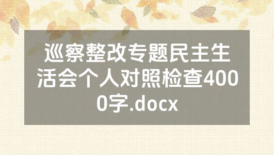 巡察整改专题民主生活会个人对照检查4000字.docx