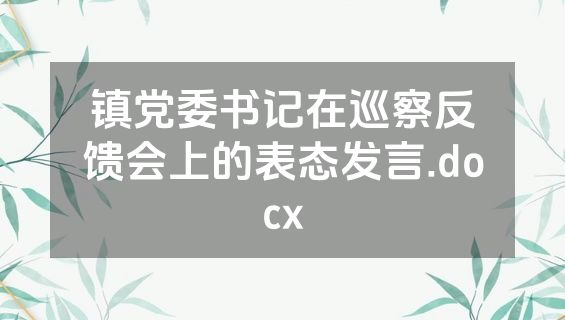 镇党委书记在巡察反馈会上的表态发言.docx