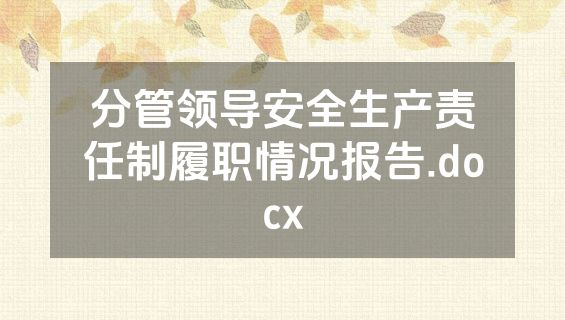 分管领导安全生产责任制履职情况报告.docx
