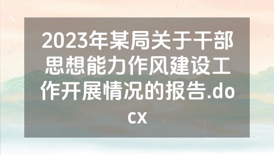 2023年某局关于干部思想能力作风建设工作开展情况的报告.docx