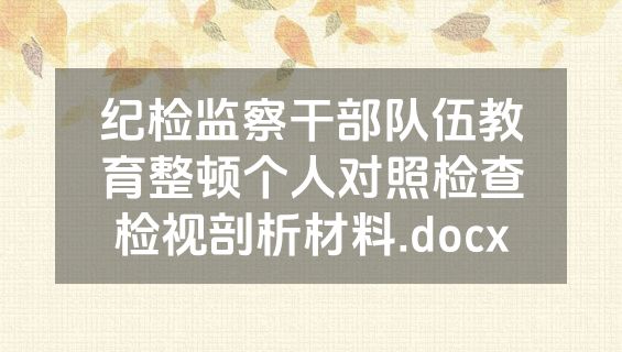 纪检监察干部队伍教育整顿个人对照检查检视剖析材料.docx