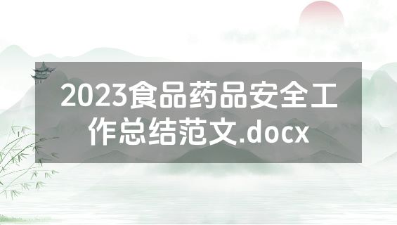 2023食品药品安全工作总结范文.docx