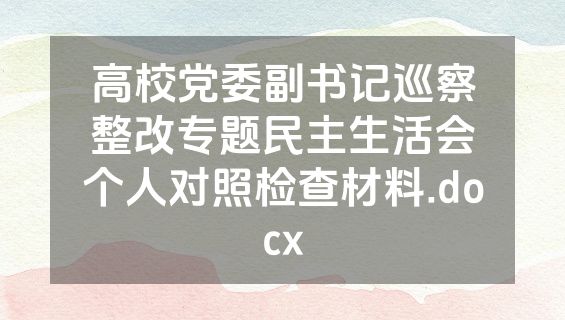 高校党委副书记巡察整改专题民主生活会个人对照检查材料.docx