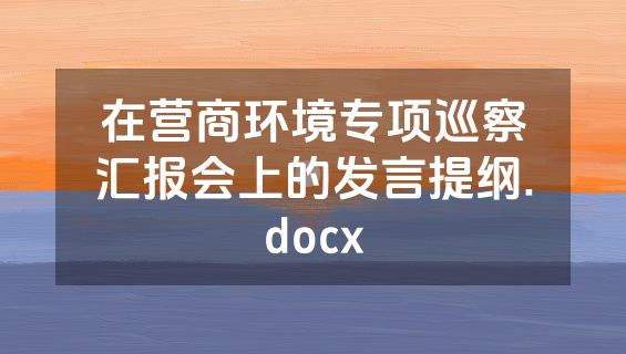 在营商环境专项巡察汇报会上的发言提纲.docx