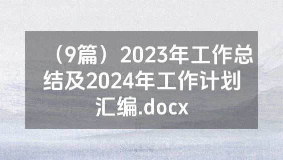 （9篇）2023年工作总结及2024年工作计划汇编.docx