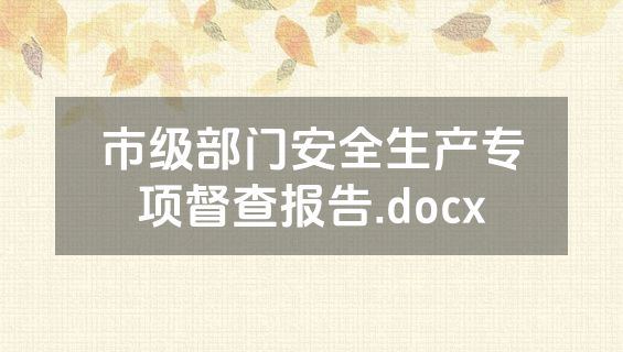市级部门安全生产专项督查报告.docx