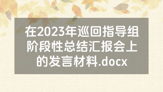 在2023年巡回指导组阶段性总结汇报会上的发言材料.docx