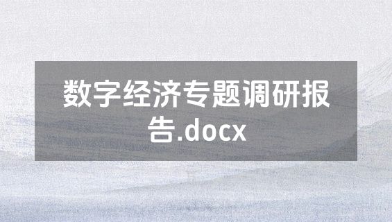 数字经济专题调研报告.docx