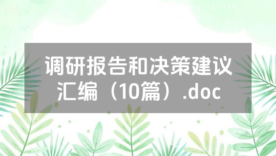 调研报告和决策建议汇编（10篇）.doc