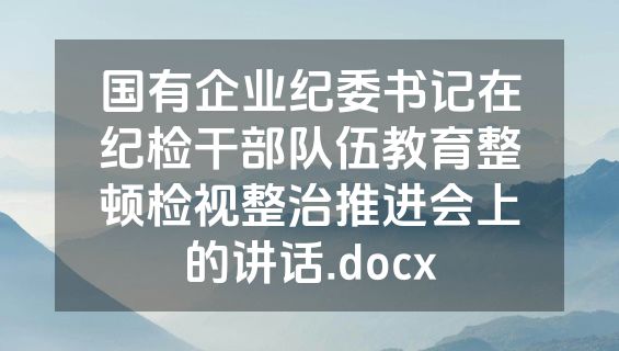 国有企业纪委书记在纪检干部队伍教育整顿检视整治推进会上的讲话.docx