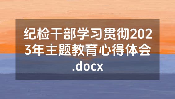 纪检干部学习贯彻2023年主题教育心得体会.docx