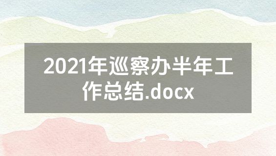 2021年巡察办半年工作总结.docx