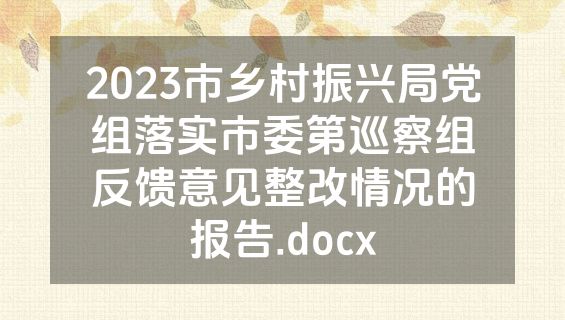 2023市乡村振兴局党组落实市委第巡察组反馈意见整改情况的报告.docx
