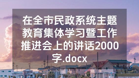 在全市民政系统主题教育集体学习暨工作推进会上的讲话2000字.docx