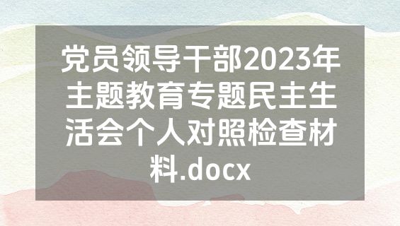 党员领导干部2023年主题教育专题民主生活会个人对照检查材料.docx