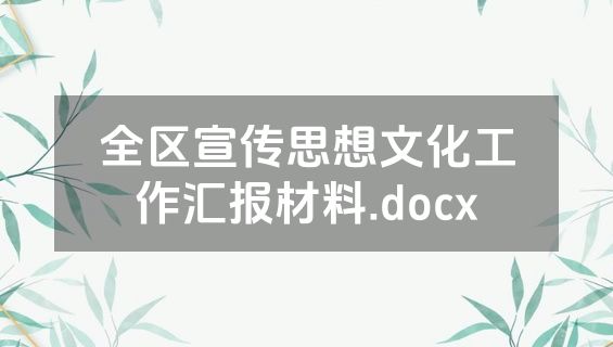 全区宣传思想文化工作汇报材料.docx