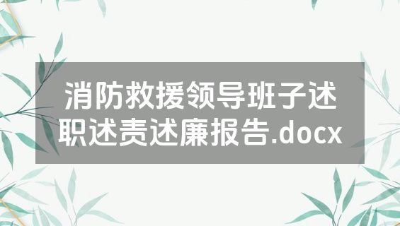 消防救援领导班子述职述责述廉报告.docx