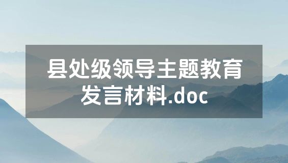 县处级领导主题教育发言材料.doc
