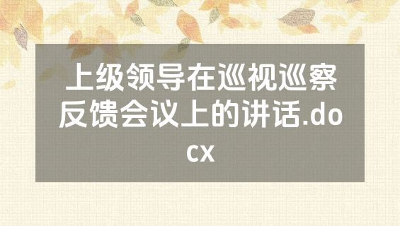 上级领导在巡视巡察反馈会议上的讲话.docx