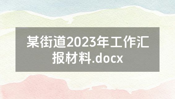 某街道2023年工作汇报材料.docx