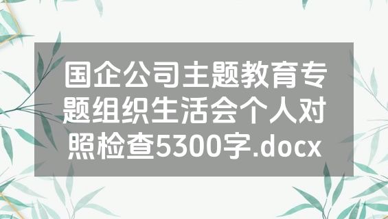 国企公司主题教育专题组织生活会个人对照检查5300字.docx