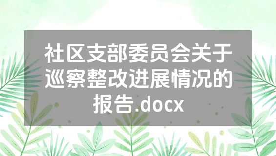 社区支部委员会关于巡察整改进展情况的报告.docx