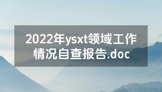 2022年ysxt领域工作情况自查报告.doc