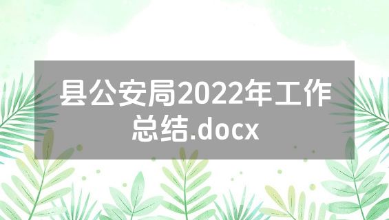 县公安局2022年工作总结.docx
