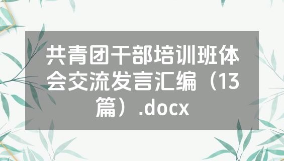 共青团干部培训班体会交流发言汇编（13篇）.docx