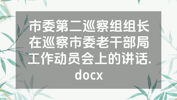 市委第二巡察组组长在巡察市委老干部局工作动员会上的讲话.docx