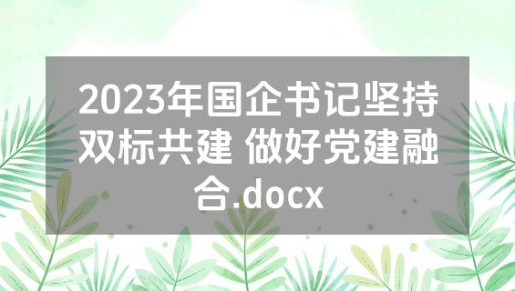 2023年国企书记坚持双标共建 做好党建融合.docx