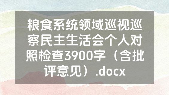 粮食系统领域巡视巡察民主生活会个人对照检查3900字（含批评意见）.docx