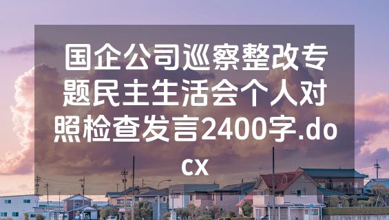 国企公司巡察整改专题民主生活会个人对照检查发言2400字.docx