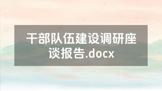 干部队伍建设调研座谈报告.docx