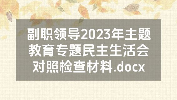 副职领导2023年主题教育专题民主生活会对照检查材料.docx