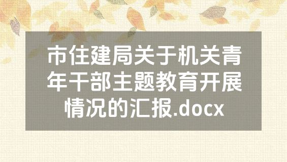 市住建局关于机关青年干部主题教育开展情况的汇报.docx