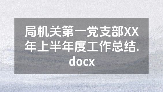 局机关第一党支部XX年上半年度工作总结.docx