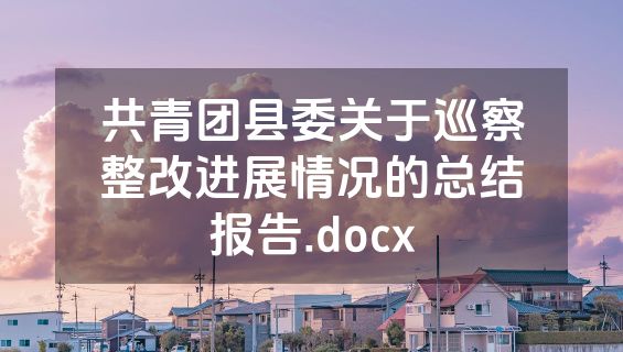 共青团县委关于巡察整改进展情况的总结报告.docx