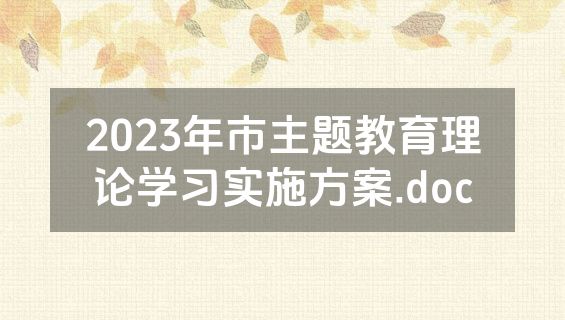 2023年市主题教育理论学习实施方案.doc