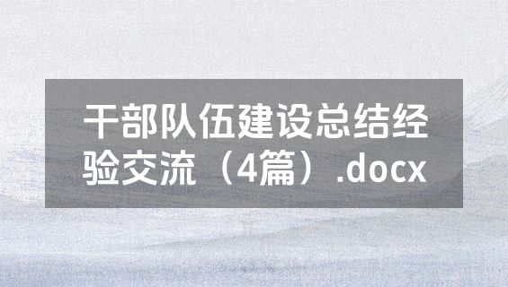 干部队伍建设总结经验交流（4篇）.docx