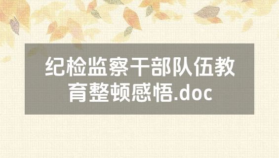纪检监察干部队伍教育整顿感悟.doc