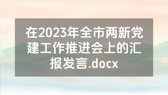 在2023年全市两新党建工作推进会上的汇报发言.docx