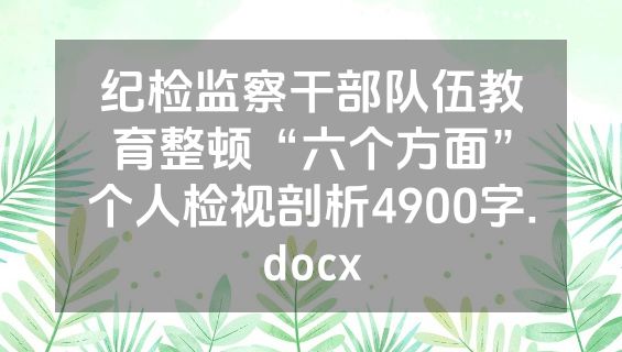 纪检监察干部队伍教育整顿“六个方面”个人检视剖析4900字.docx