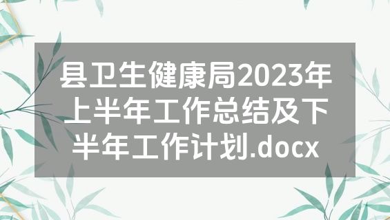 县卫生健康局2023年上半年工作总结及下半年工作计划.docx