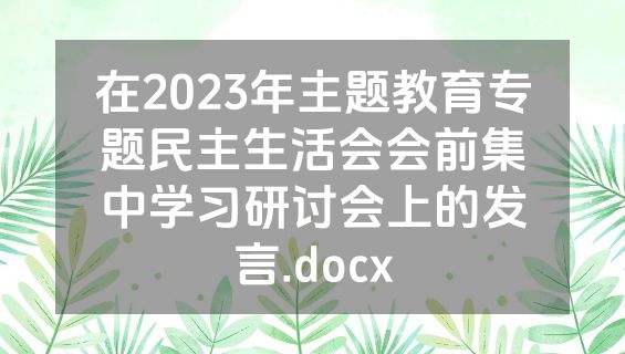 在2023年主题教育专题民主生活会会前集中学习研讨会上的发言.docx
