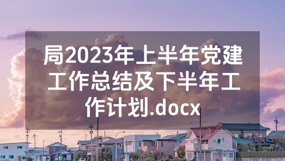局2023年上半年党建工作总结及下半年工作计划.docx