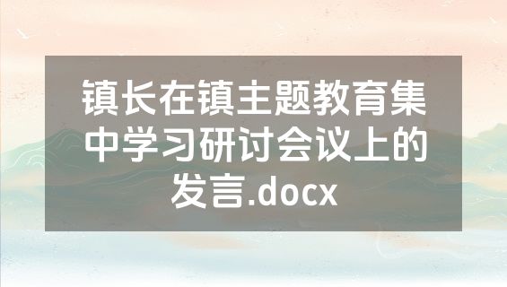 镇长在镇主题教育集中学习研讨会议上的发言.docx