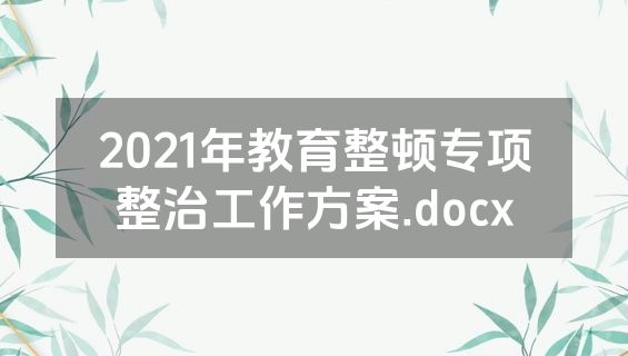 2021年教育整顿专项整治工作方案.docx